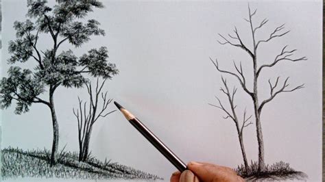 Easy Charcoal Drawings Of Trees