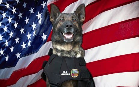 K911 17 LES CHIENS DE POLICE U S K9 TEAMS