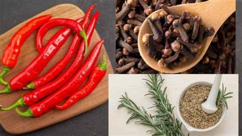 3 Herbs That You Consider As Spices That Have The Potentials To Heal