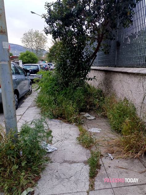 Vietato Camminare Sul Marciapiede In Via Uditore Segnalazione A Palermo