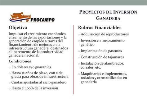 PPT Financiamiento para Proyectos de Inversión PowerPoint