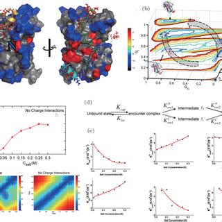 Free Energy Landscape Contact Map And Kinetic Pathway Analyses Of IA3