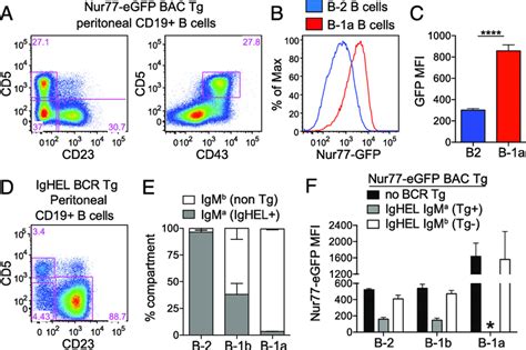 Nur Egfp Reporter Expression Is Upregulated In B A B Cells In An