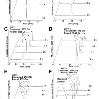 Stability Assays Of MO1 Thermal Stability Assay Of A MO1 And B