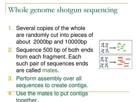 Csci 1810 Computational Molecular Biology Ppt Download