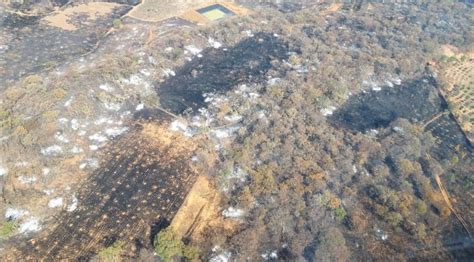 GEM Brigadistas atienden 6 incendios forestales en Michoacán