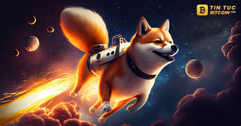 Shiba Inu Với Tỷ Lệ đốt 30000 Giá Shib Lên Cao Tin Tức Bitcoin 2024