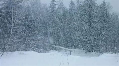 Icy Howling Wind Sounds Winter Storm Ambience To Forget Stress And