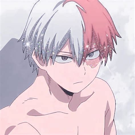 Boku No Hero Todoroki Shouto Icon