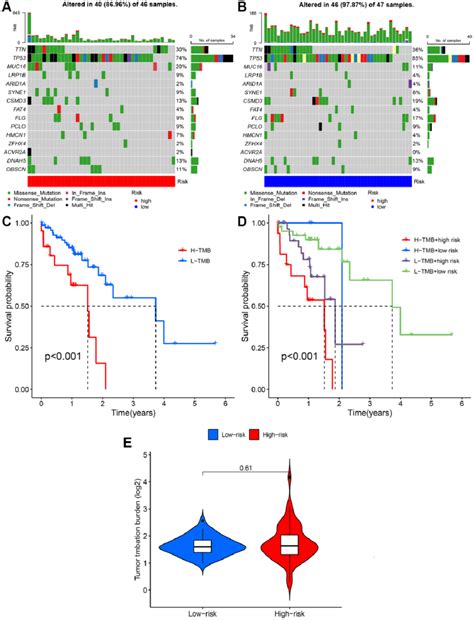 Tumor Mutation Burden Tmb Analysis A B Waterfall Plots Of Somatic Download Scientific