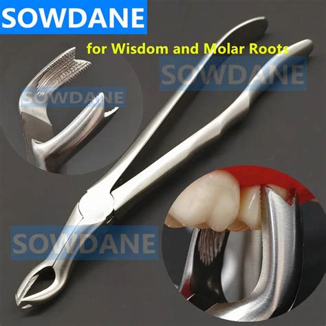 Piece New Dental Adult Tooth Extraction Forcep Plier Teeth Extraction