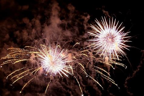 Silvestre Fuegos Artificiales Foto Gratis En Pixabay Pixabay