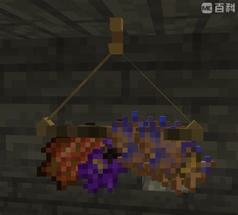 干燥架 Drying Racks 魔法巫师 Hexerei MC百科 最大的Minecraft中文MOD百科