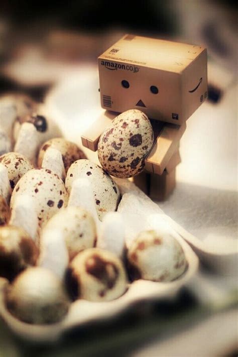 Pin By Hebe On Loveable Danbo Danbo Food Loveable