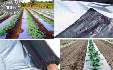 Agricultural Mulch Film High Quality Mulching Film Best Price Online