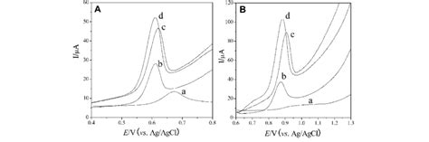 DPVs Of 33 LM Guanine A And 37 LM Adenine B Obtained At Bare GCE