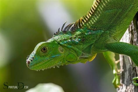 Can Iguanas Eat Insects? Unlocking The Potential Of A Primal Diet - Vet ...