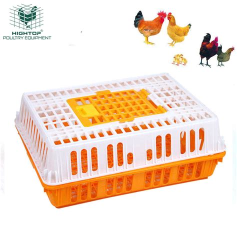 Poultry Plastic Broiler Chick Live Transport Cage Box Chicken Crate For