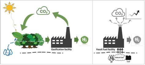 Green Hydrogen Through Biomass Gasification