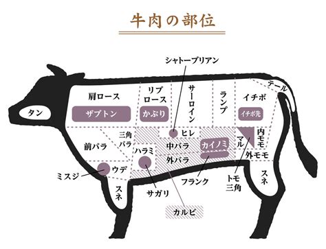 バベットステーキとは？指す部位は各国で違う？フランス語での意味なども紹介！ ちそう