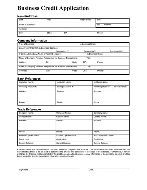 Credit Application Template Excel