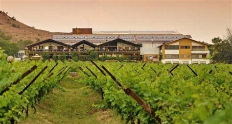 Wine Tasting Tour Sula Vineyards Nashik Day Excursion From