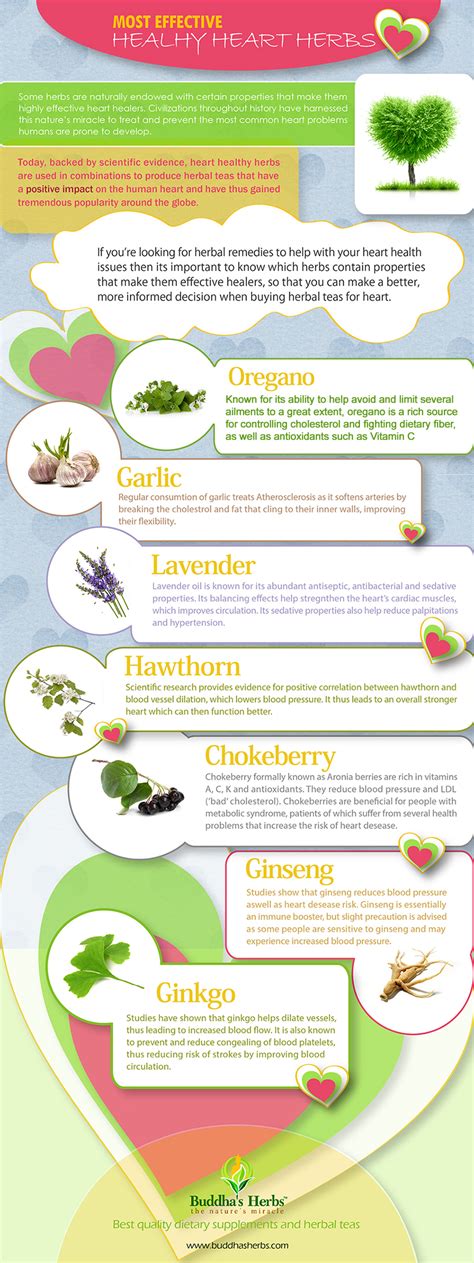 7 Herbs That Help Your Heart Dr Sam Robbins