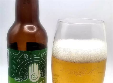 Nirvana Hoppy Pale Ale Review ⋆ 😎