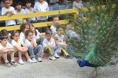 Cia Dos Bichos Fotos