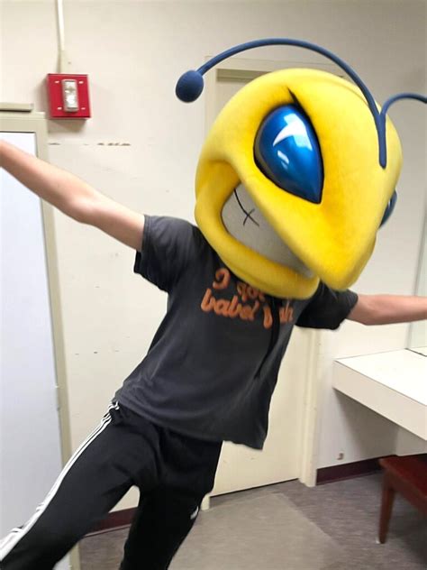 yellowjacket admissions blog