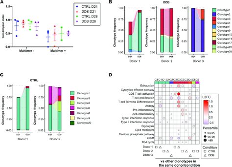 Effect Of Ddb On Clonal Diversity And Stability In Time A Estimate Of