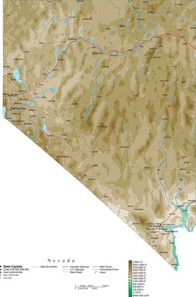 Nevada Contour Map in Adobe Illustrator Digital Vector Format