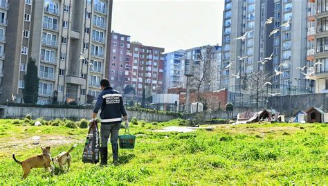 Esenyurt Belediyesi Sokak Hayvanlarına Mama Ve Su Desteğini Sürdürüyor