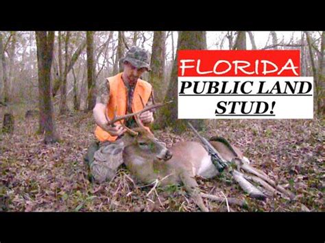 My Biggest Florida Buck Public Land Stud Youtube