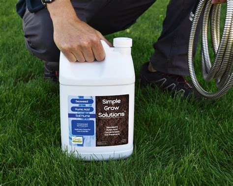 What Is Humic Acid For Lawns Storables