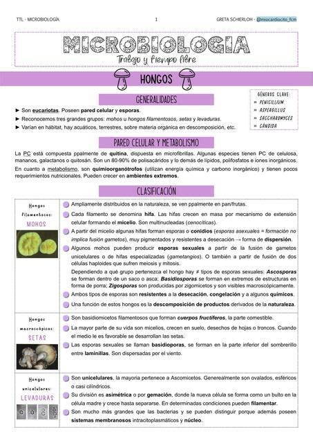 Microbiología TTL Hongos Microbiota sistema respiratorio