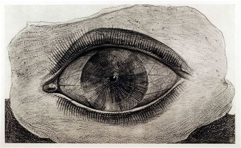 One Eyes Enough Max Ernst Surrealism Art