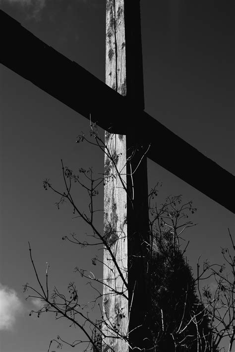 Crosses on Cemetery · Free Stock Photo