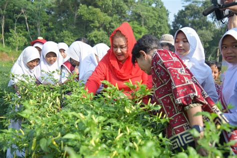 Wali Kota Semarang Dorong Anak Muda Jadi Petani Milenial Antara News