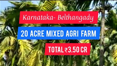 20 Acre Mixed Agri Farm For Sale Belthangady Karnataka 3 50 Cr