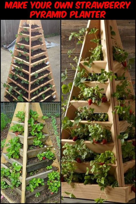 How To Build A Pyramid Strawberry Planter Diy Tower Plans Artofit