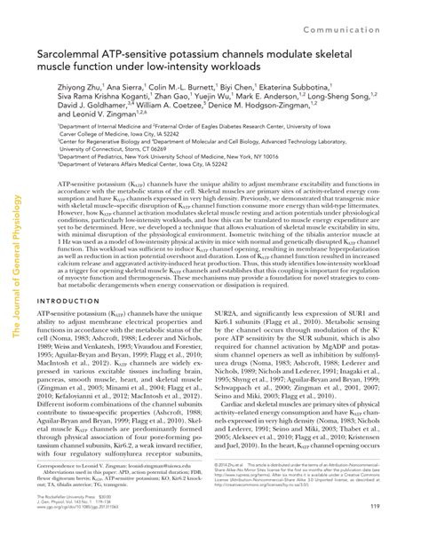 PDF Sarcolemmal ATP Sensitive Potassium Channels Modulate Skeletal