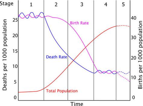 6 22 Demographic Transition Biology Libretexts