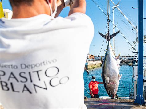 Fotos de la 31º edición del Concurso de Pesca de Altura Pasito Blanco