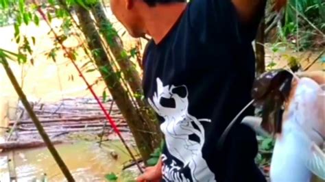 PANCING SAMPAI PUTUS MANCING IKAN BAUNG BESAR YouTube