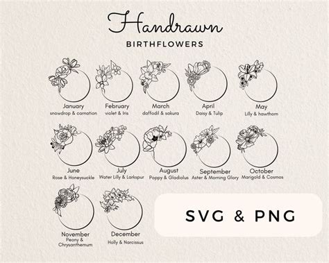 Birth Month Flower Svg Birth Month Svg Birthflower Svg Wildflower