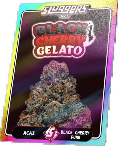 Black Cherry Gelato Sluggers Hit Premium Cannabis Products Accessories