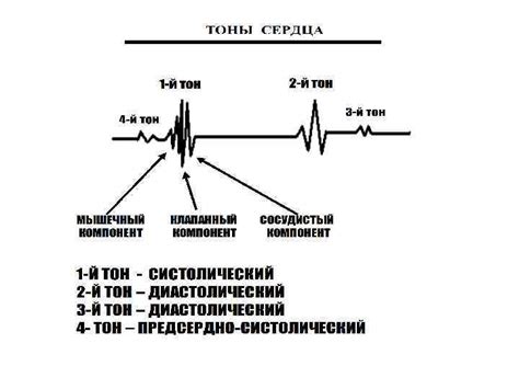 Кафедра нормальной физиологии Методы исследования функций сердца