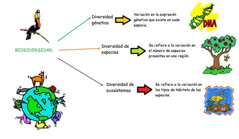 Mapa Mental De La Biodiversidad