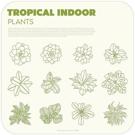 TROPICAL INDOOR PLANTS :: Behance